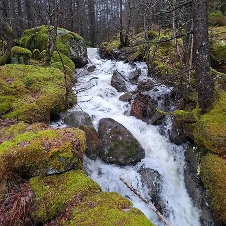 Vågen Jørpeland