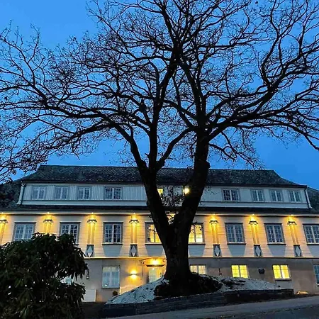 Vågen *